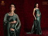 Mehek 1240A To 1240F Tissue Chiffon With Hand Work Jerquen Work Saree Wholesalers In Delhi